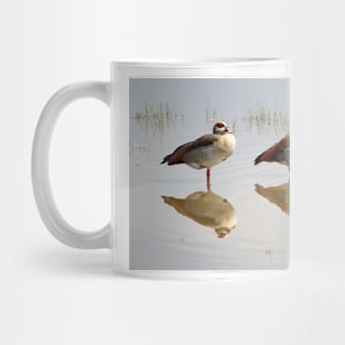 Egyptian Geese Reflections Mug